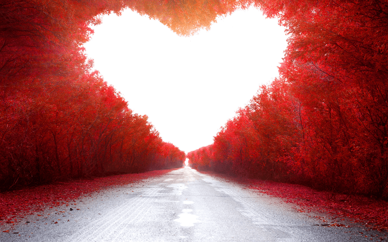 Un cœur blanc sur fond rouge représentant l'amour